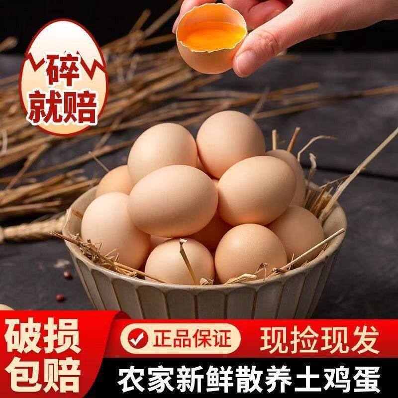 50枚精品山林散养土鸡蛋农家笨鸡蛋单枚40-50g净重2050克新鲜鸡蛋
