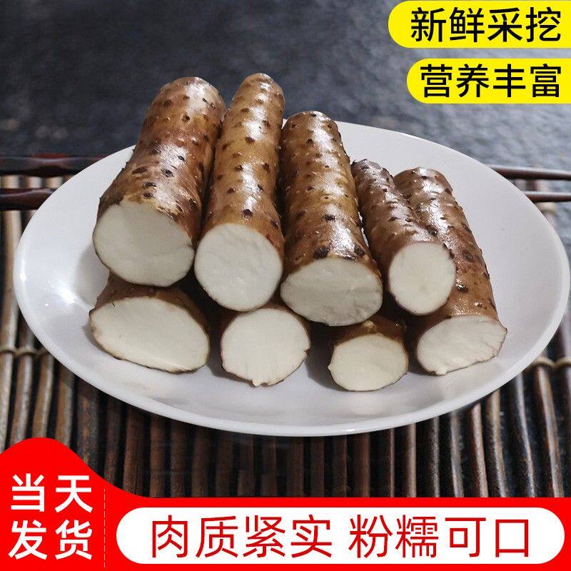 当季新鲜26年温县正宗垆土铁棍山药香甜粉糯营养高3-5斤