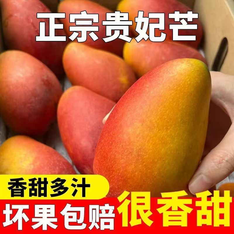 M【放软吃】当季新鲜贵妃芒清甜爆汁精选优质芒果日常解馋鲜果L