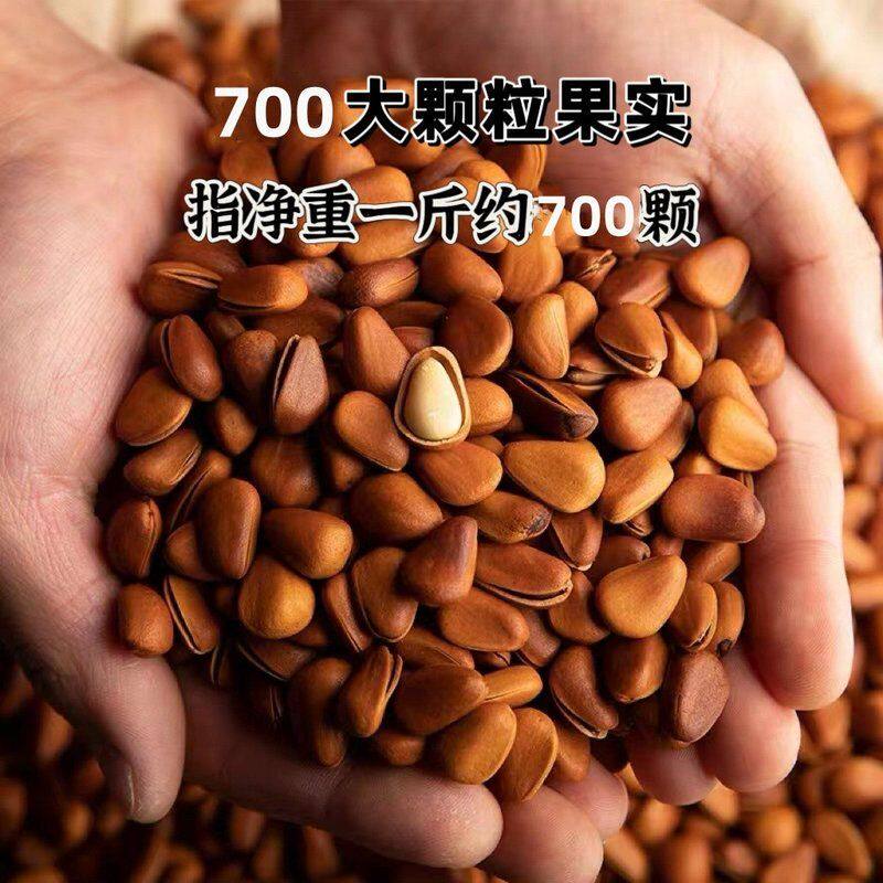 小熊树下开仓放超大精品果850颗粒东北红松子油炒手工挑选高品质