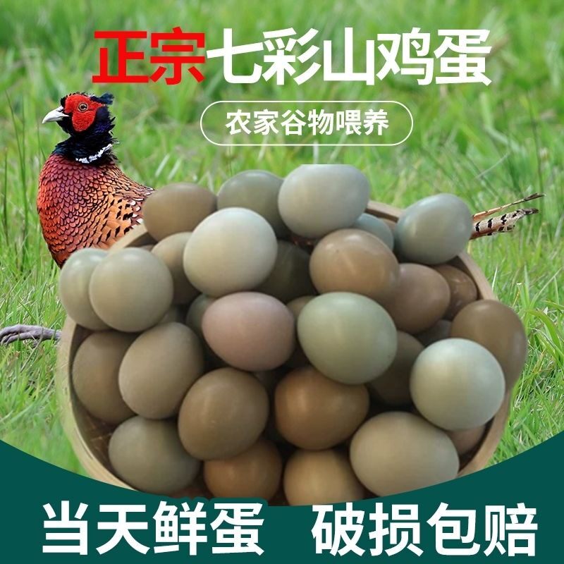 七彩山鸡蛋 新鲜正宗户外散30/60枚