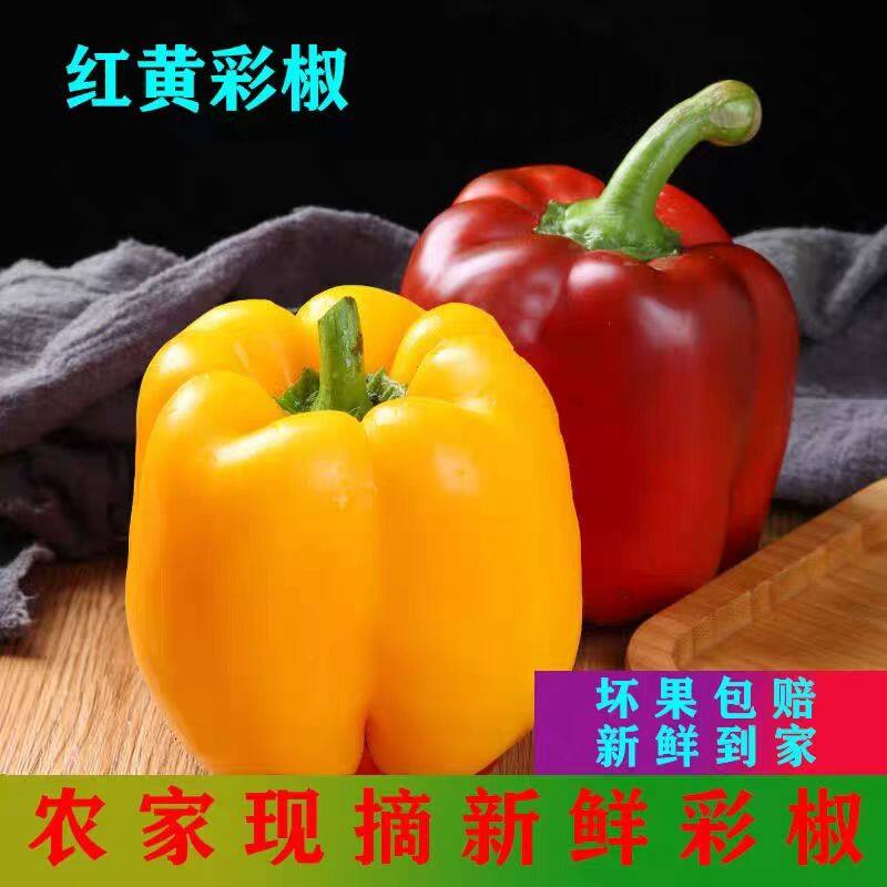 新鲜现摘甜椒生吃不辣果蜜康五彩椒圆椒柿子椒红黄绿水果辣椒太空