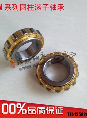 减速机偏心轴承 RN211 RN212 RN213 RN214 RN215 RN216 RN217