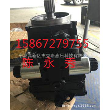 90R055DD1AB80S4S1CZ1GBA323220液压泵