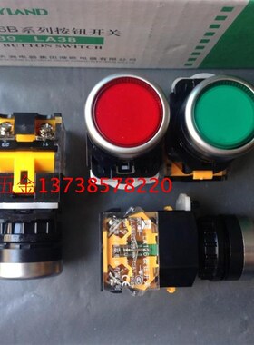正宗天洲LA126B系列开关LA38-11/203红绿黄色按钮自复位开关 银点