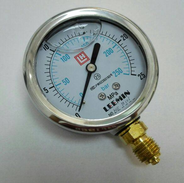 不锈钢外壳铜接头注油压力表 LEEMlN耐震压力表  25mpa 螺纹G1/4,清洗/食品/商业设备,洗车机,淘宝优惠券,粉丝福利购,淘宝优惠卷