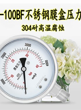 304不锈钢YE-100BF膜盒压力表千帕表微压表水柱表天然气膜合表KPA