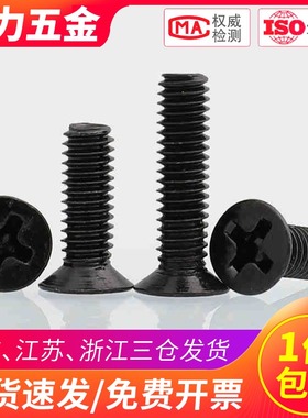 M2 M2.5 304不锈钢黑色沉头十字螺丝KM平头螺钉*3x4x5x8x10x12x20