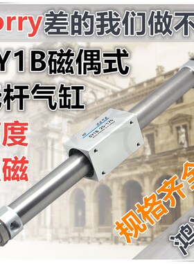 CY3B10磁偶式无杆气缸 CY1B10*50/100/200/250/300/400/500 RMS