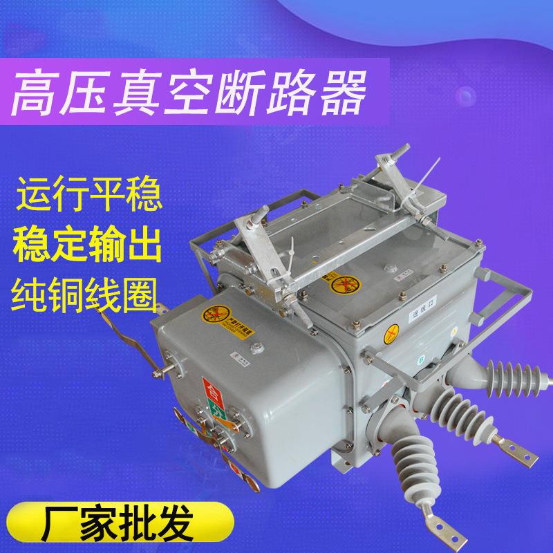 直供高压真空断路器ZW20-12-630A模块式真空断路器控制电压110V