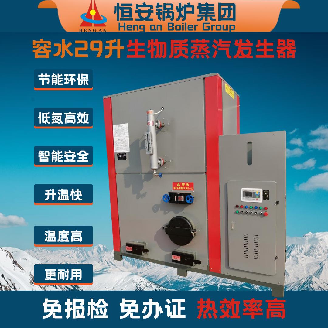 D级蒸汽锅炉0.5吨1吨生物质蒸汽发生器用于洗涤行业全套价格