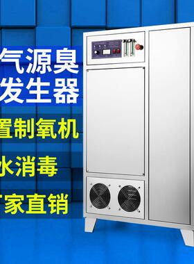 心宇100g臭氧发生器新款高浓度内置制氧机水冷式臭氧发生器