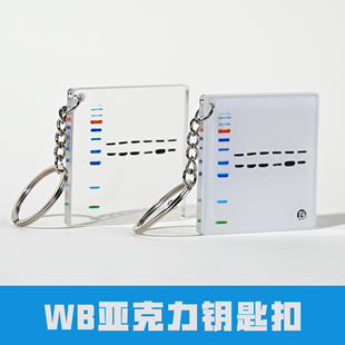 【科研周边】WB 亚克力钥匙扣