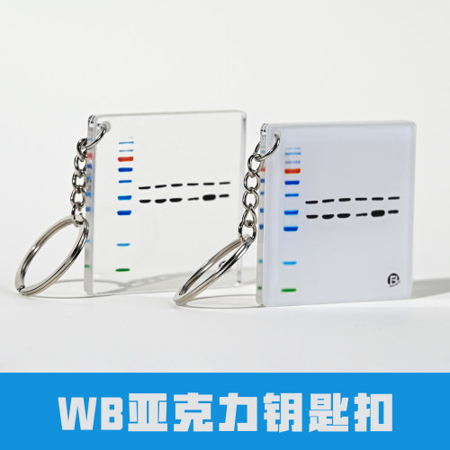 【科研周边】WB 亚克力钥匙扣