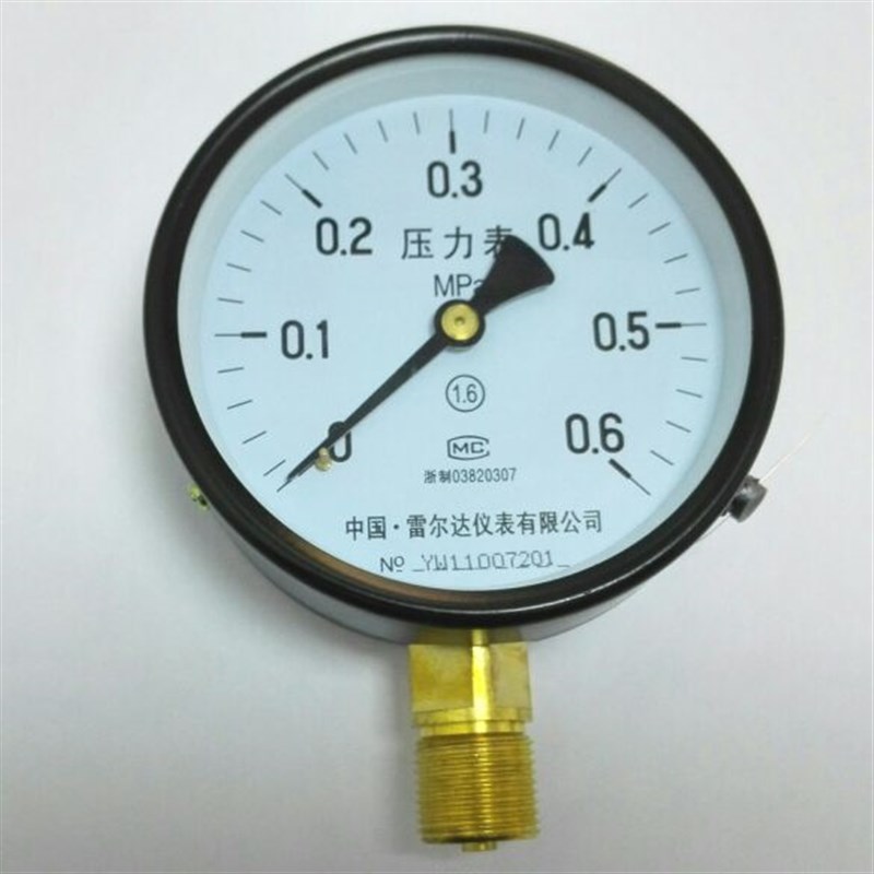 雷尔达仪表压力表 Y-100 0~0.6mpa 直径100mm 铜螺纹m20x1.5
