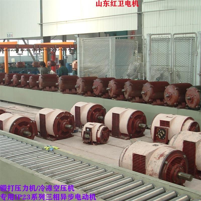 山东厂家直供Y315M2-8/132W-IP23冷冻空压机用三相异步电机