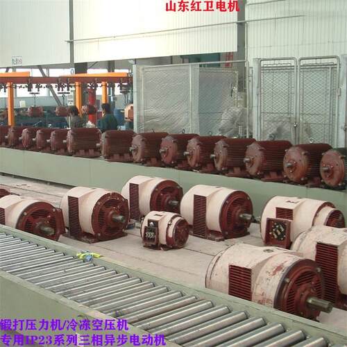 山东厂家直供Y315M2-8/132W-IP23冷冻空压机用三相异步电机