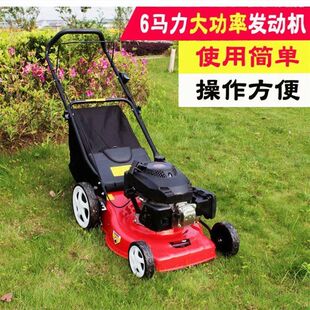 GX160汽油动力草坪机 手推自走式小型剪草机 汽油四冲程割草机