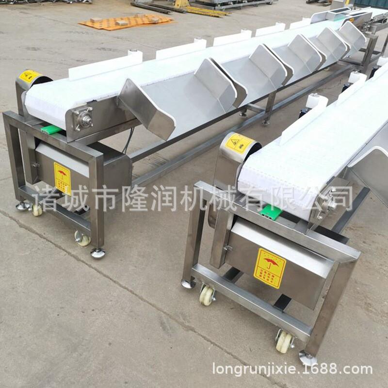 全自动皮带秤称重分选称皮带机重量分拣机自动检重秤动态皮带秤