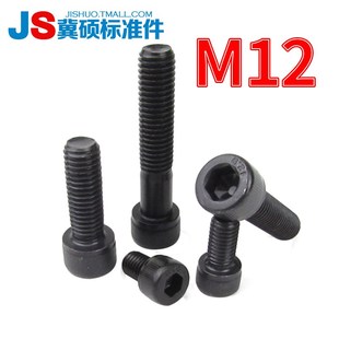 DIN912内六角12.9级内六角螺丝/高强度内六角螺栓M12*16/20300