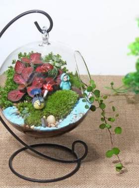 悬挂玻璃花瓶 多肉植物花盆 微景观生态瓶 透明圆形吊瓶 婚庆用品