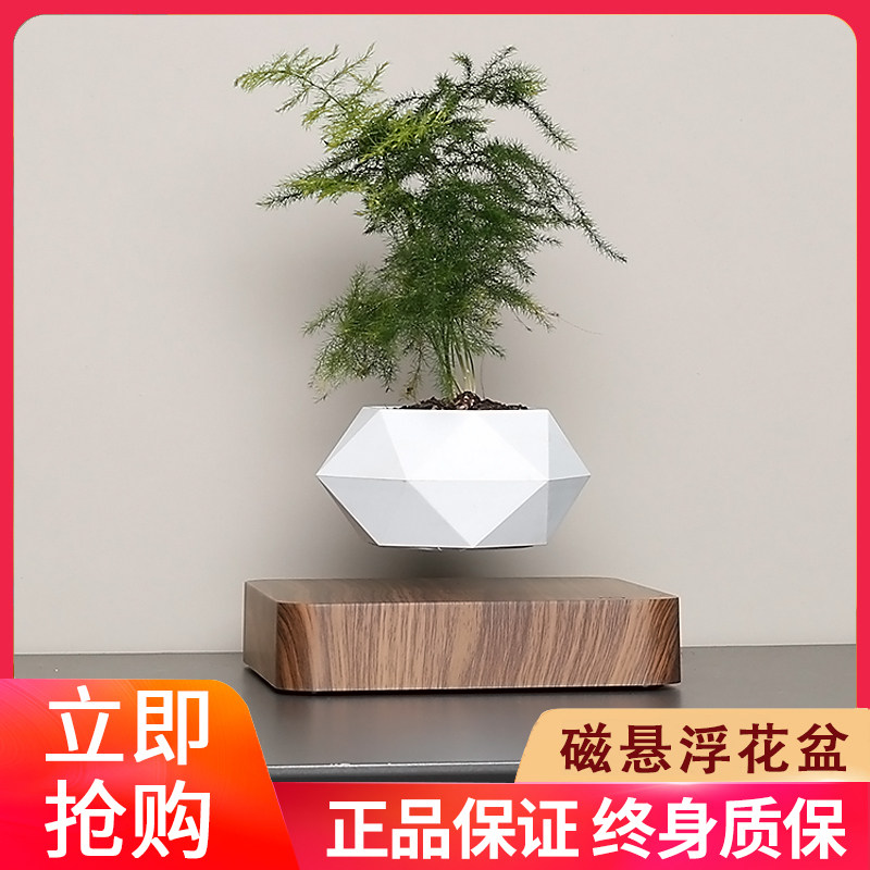 反重力磁悬浮盆栽创意小植物花盆家居客厅办公室桌面摆件高端礼品