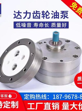 齿轮泵CBA-B610打压泵电动CB-BNS1625液压油泵小型不锈钢泵头总成