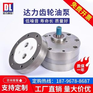 齿轮泵CBA BNS1625液压油泵小型不锈钢泵头总成 B610打压泵电动CB