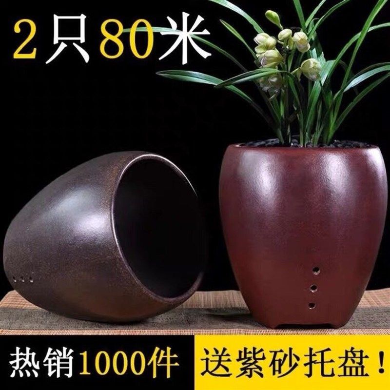 紫砂兰花花盆透气君子兰专用盆陶瓷复古大龙蛋圆盆高档精品带托盘