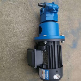 B63JZ冷镦机齿轮泵 B40 B55摆线齿轮油泵电机组