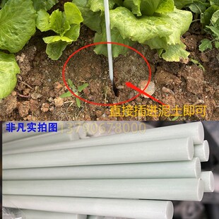 5mm玻璃纤维杆玻璃钢棒菜棚支架保温棚花棚拱顶小拱棚拱竿地拱杆