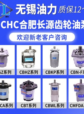 合肥长源双联齿轮泵CBFL/CBTLZTA/CBTLZTD/CBGTBLA2/CBGNL系列