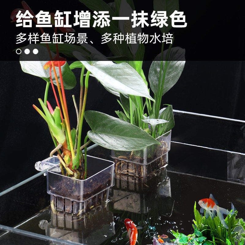 水草壁挂式定植杯鱼缸种植篮水培水上植物定植篮水箱造景装饰配件