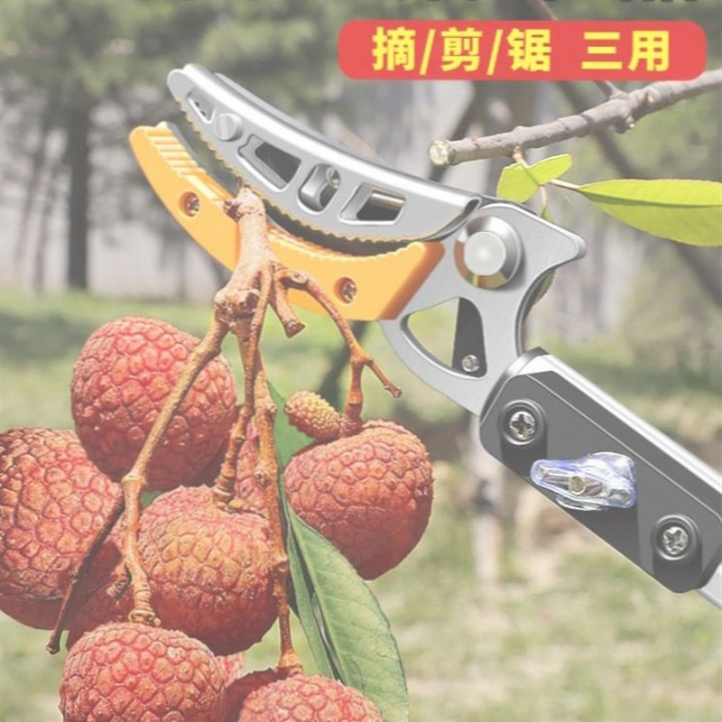 德国进口技术家用摘水果荔枝龙眼枇杷柿子加长高枝剪伸缩高空剪刀
