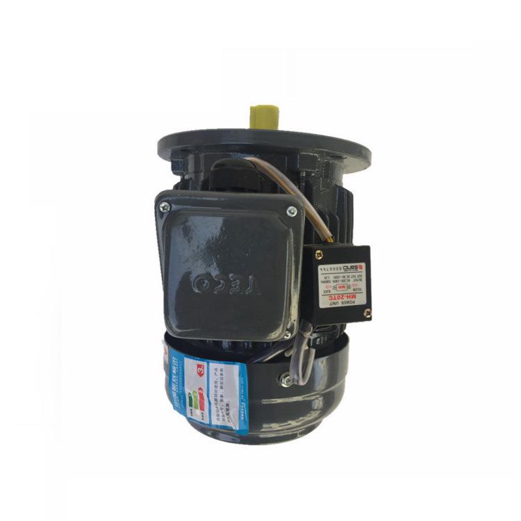 AEVF2N132M4-7.5W立式电机TECO三相异步电动机