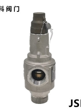 低温安全阀泄压阀液氮不锈钢螺纹弹簧全启式可调节自动DA22F-40P