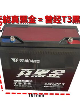 12V45AH32A20AH音箱电动车蓄电池12伏户外照明音响抽水泵轮椅电瓶
