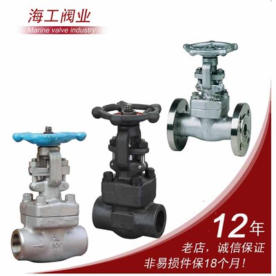 海工锻钢截止阀A105锻钢304不锈钢316L不锈钢310S焊接j61y法兰焊