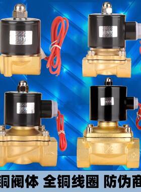 森亚SENYA全铜常闭电磁水阀220V气阀24V 12V 2W160-15 2分4分1寸