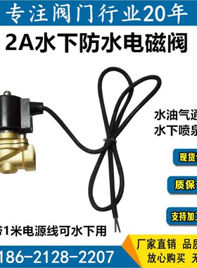 水下专用喷泉防水常闭电磁阀水阀4分6分1寸地埋式 AC220VDC24V12V