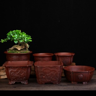 紫砂兰花盆仿古桌面盆栽四方精品陶瓷多肉文竹蝴蝶兰老庄百合包邮