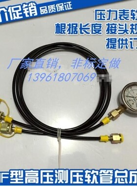 测压管M16*2针-接M141.5压力表油管3mm通径6高压630bar测压胶管