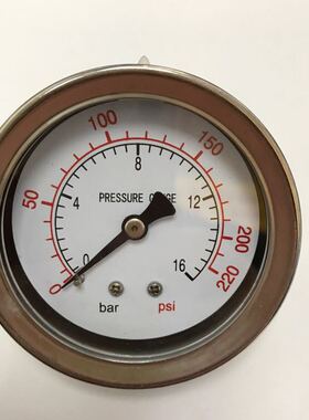 轴向压力表 压力0-16bar 220psi 直径69mm 铜螺纹M14x1.5 不充油