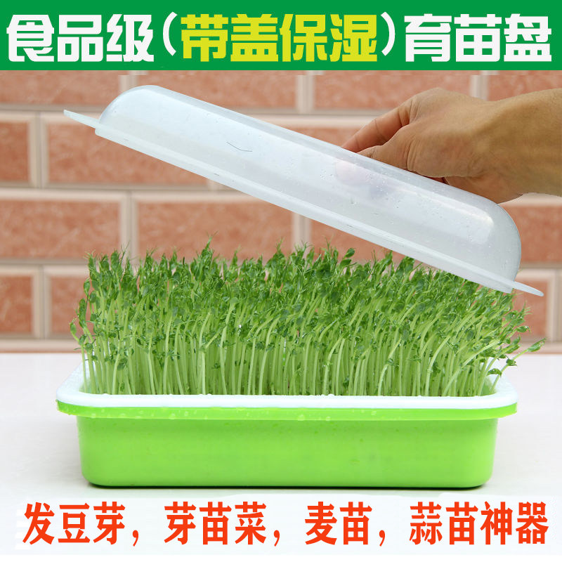 发豆芽菜育苗盘芽苗菜小麦苗种植盘保温带盖种蒜豌豆苗盆栽托无土,农用物资,苗木固定器/支撑器,淘宝优惠券,粉丝福利购,淘宝优惠卷