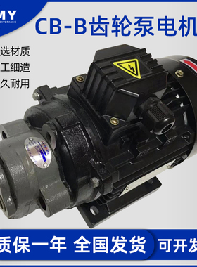 CB-B6/B10/B4/B2.5齿轮泵液压油泵电机组370W/550W润滑油泵头总成