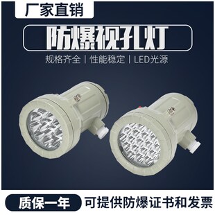 防爆视孔灯BSD-100 带按键LED视孔灯12V24V36V220V反应釜视镜灯
