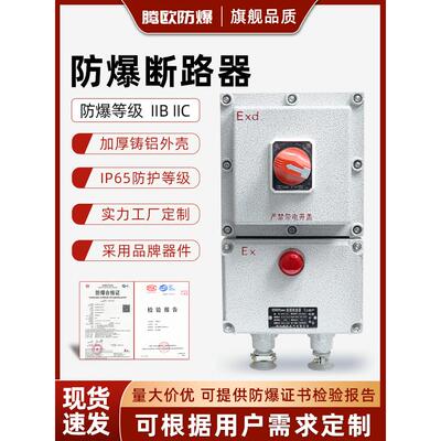 BDZ52防爆断路器10A16A20A32A63A100A漏电2P3P4P防爆开关箱220V