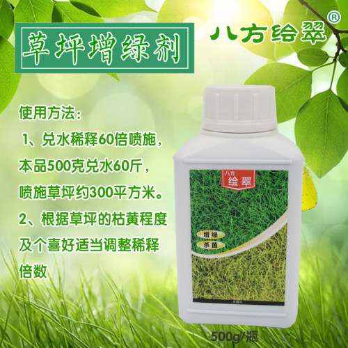 八方绘翠草坪增绿m剂一喷就绿快速喷绿染色着色枯草瞬间染绿剂