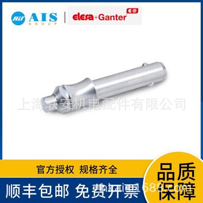 ELESA+GANTER 不锈钢滚珠锁销 GN 113.3-6-40