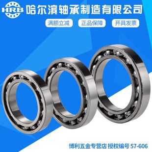 6021 6026ZZ 6024 6022 6020 6019 D级6018 哈尔滨轴承 HRB